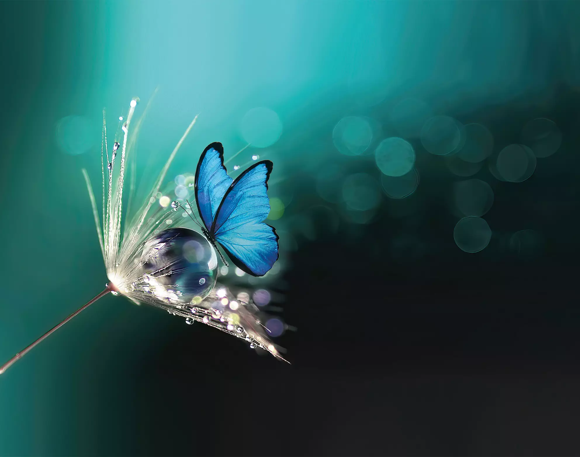 Le Choix Funéraire Corrézien